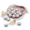 Where Winds Meet 1800 Echo Beads
